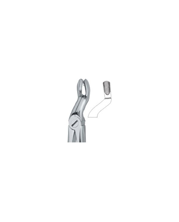 Tooth Ext Forceps